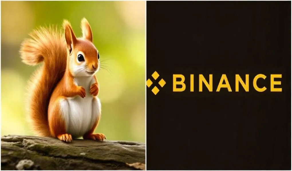 Peanut the Squirrel owner accuses Binance of intellectual property infringement over the PNUT cryptocurrency. 